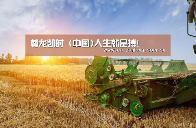 产品名称一(图1)