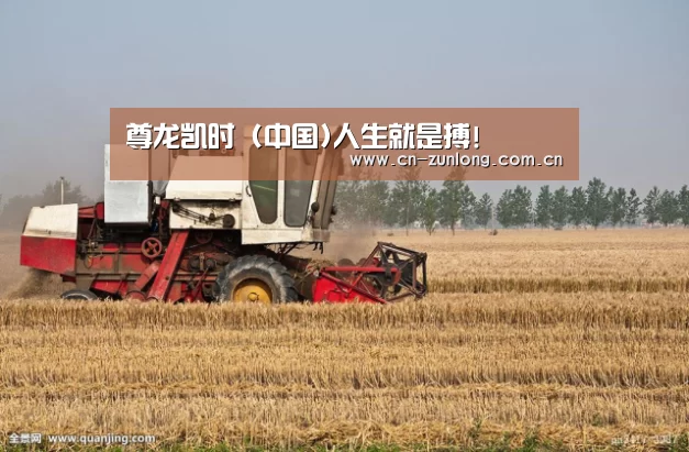 产品名称七(图1)