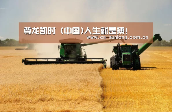 产品名称八(图1)