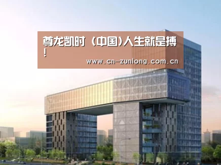 案例展示四