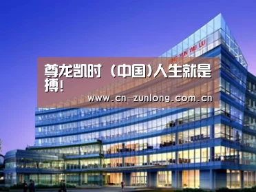 案例展示五