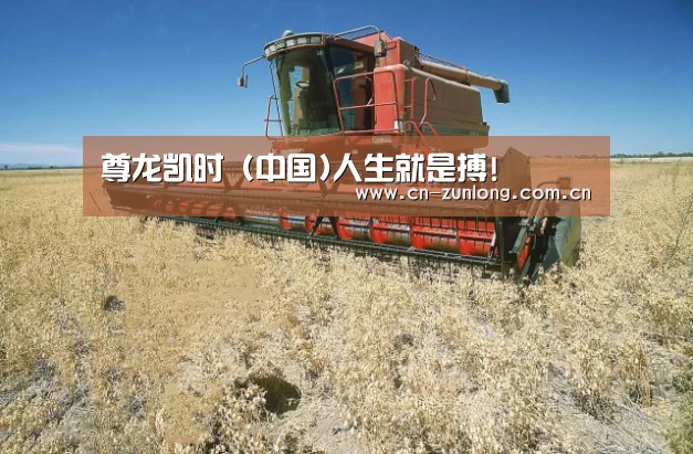 产品名称三